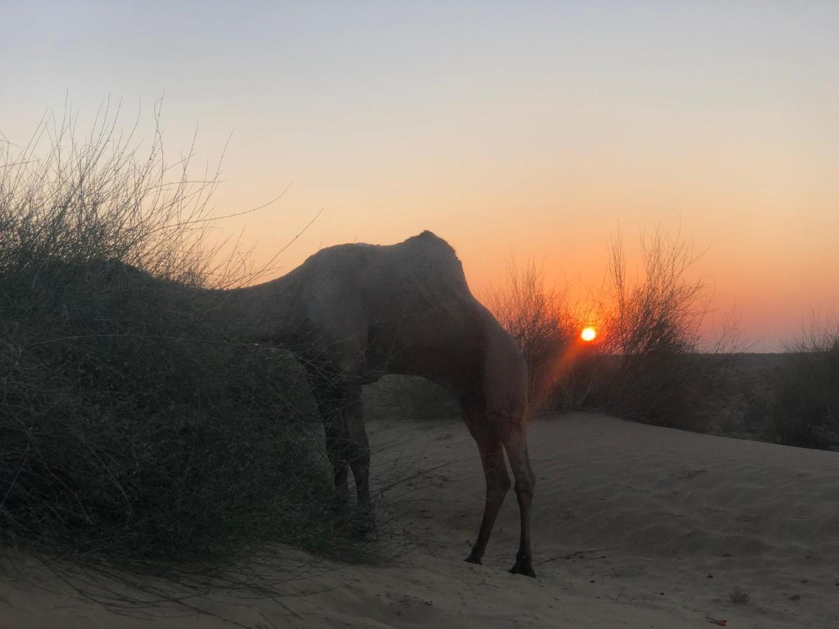 Hostel Desert Home Stay Jaisalmer Eksteriør billede